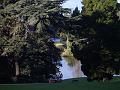 Melbourne Botanic Gardens IMGP2150